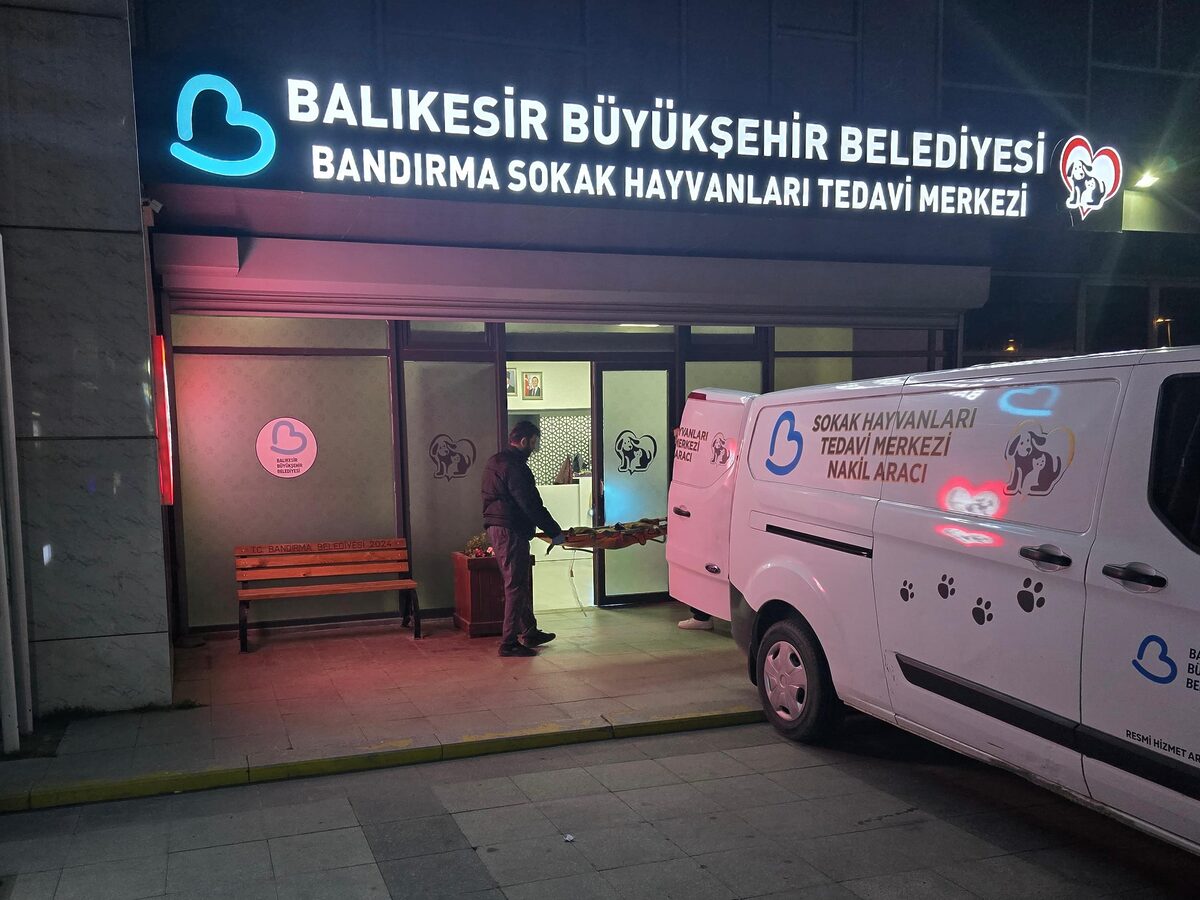 AW383174 05 - Marmara Bölge: Balıkesir Son Dakika Haberleri ile Hava Durumu