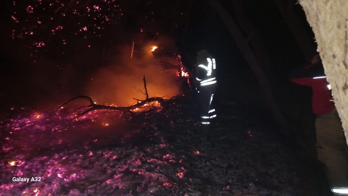 AW384481 05 - Marmara Bölge: Balıkesir Son Dakika Haberleri ile Hava Durumu