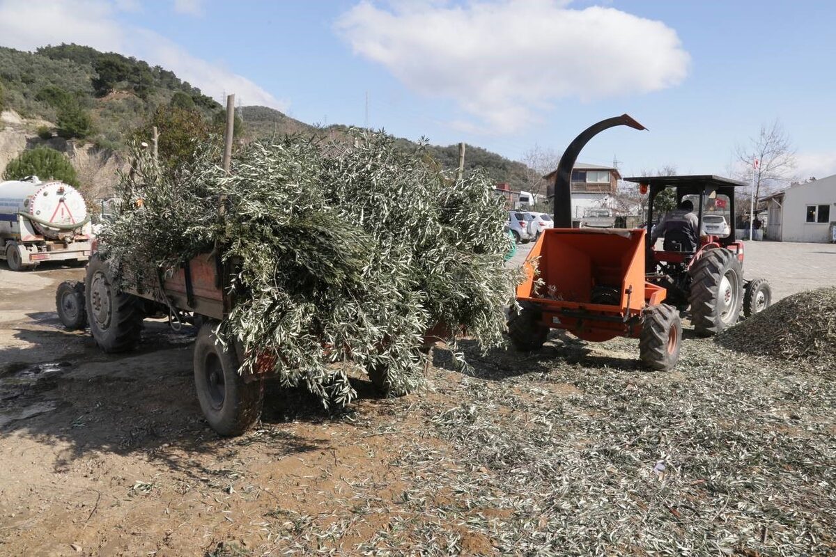 AW387919 02 - Marmara Bölge: Balıkesir Son Dakika Haberleri ile Hava Durumu