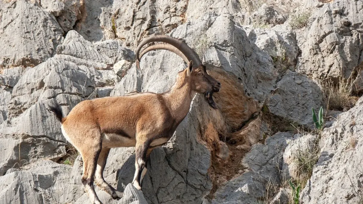 Kırıkkale Doğa Koruma ve Milli Parklar Şube Müdürlüğü, 2 Mart