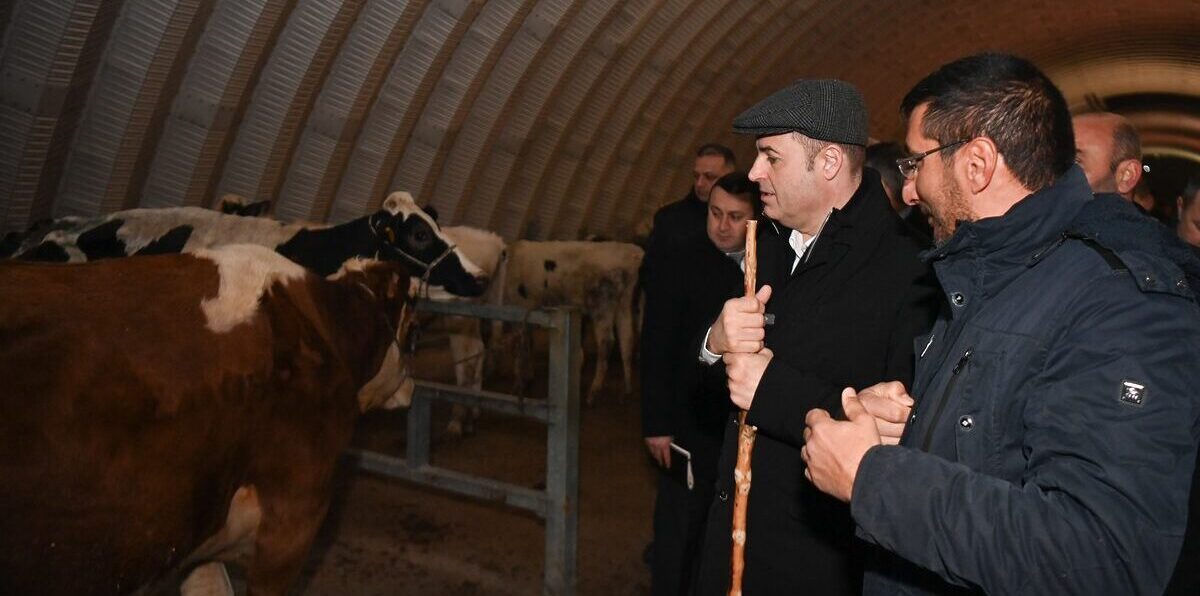 Balıkesir Büyükşehir Belediye Başkanı Ahmet Akın, haftanın ilk gününe hayvan