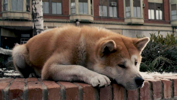 hachiko filmi buyuk boy - Marmara Bölge: Balıkesir Son Dakika Haberleri ile Hava Durumu