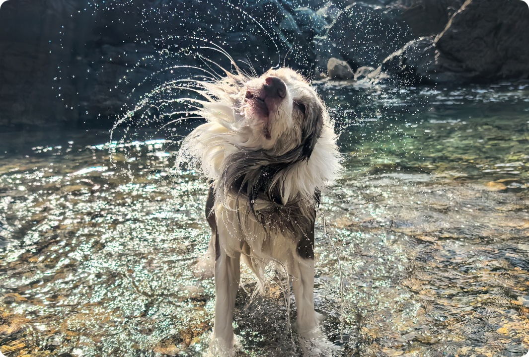 huawei pura70 pro ultra speed snapshot - Marmara Bölge: Balıkesir Son Dakika Haberleri ile Hava Durumu