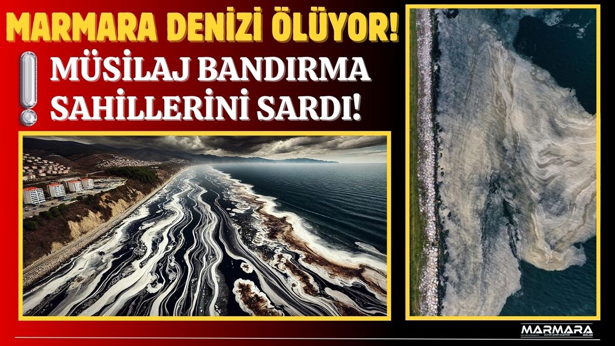 Bandırma sahillerinde yeniden ortaya çıkan müsilaj, deniz ekosistemini, balıkçılığı ve