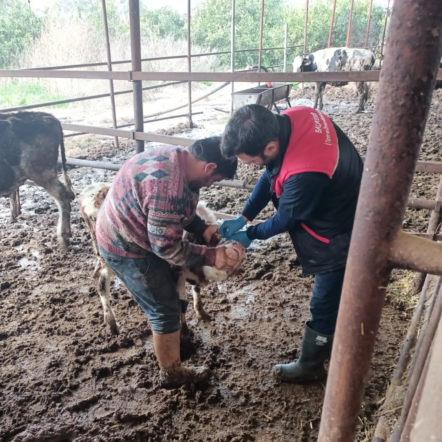 484003048 18044296988524508 6471397268625650978 n - Marmara Bölge: Balıkesir Son Dakika Haberleri ile Hava Durumu