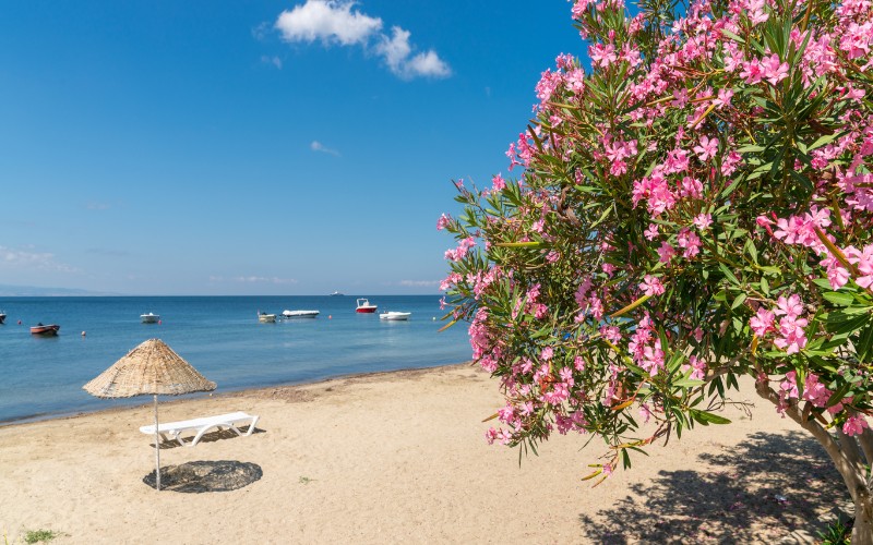 Balıkesir’in gözde tatil noktalarından Erdek, yaz sezonuna hazırlanırken ziyaretçi akınına