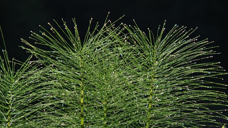 2 9 - Marmara Bölge Gazetesi