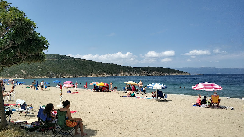 Şehir Hayatından Sıkılanlara İlaç Gibi Gelecek Bir Rota: Balıkesir’in Bu Köyü Zeytin Kokuları Arasında Dinlendirici Bir Gün Geçirmek İsteyenleri Bekliyor 2018 08 22 1 - Marmara Bölge Gazetesi