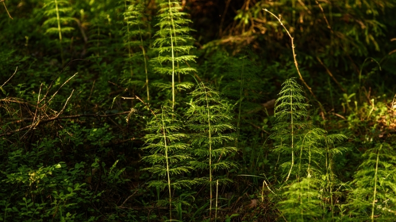 4 6 - Marmara Bölge Gazetesi