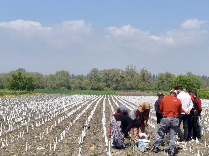 492546610 1075005261337002 152234177854433943 n - Marmara Bölge Gazetesi