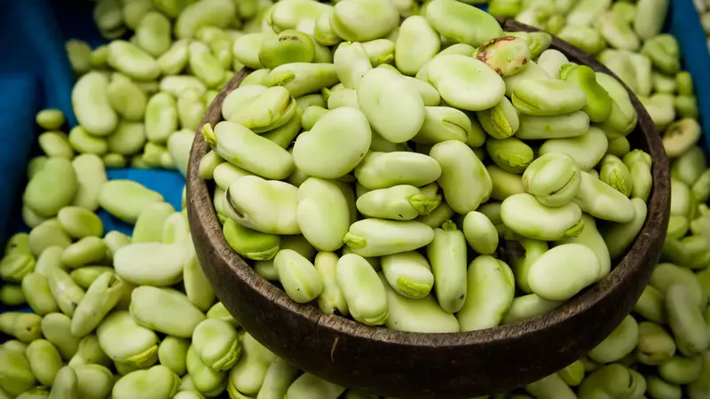 Modern yaşamın getirdiği düzensiz ve yüksek şekerli beslenme alışkanlıkları, vücudun