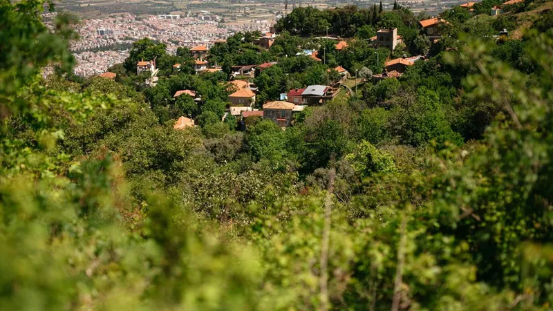 18042021 121902057 3 kaplankoyu 3 1 - Marmara Bölge: Balıkesir Son Dakika Haberleri ile Hava Durumu