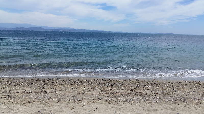 2017 05 19 2 - Marmara Bölge: Balıkesir Son Dakika Haberleri ile Hava Durumu