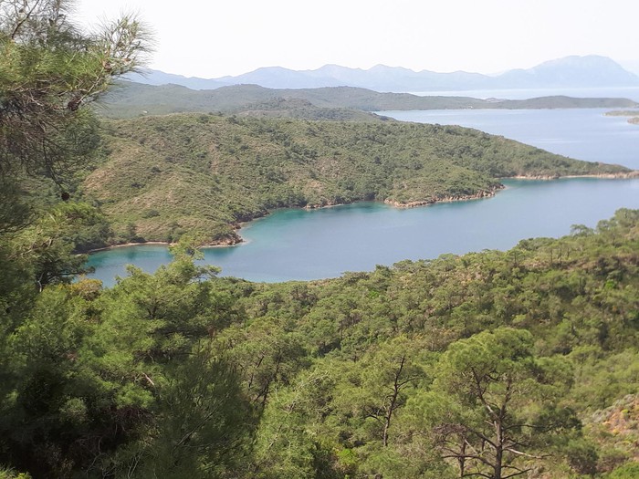 - Marmara Bölge: Balıkesir Son Dakika Haberleri ile Hava Durumu