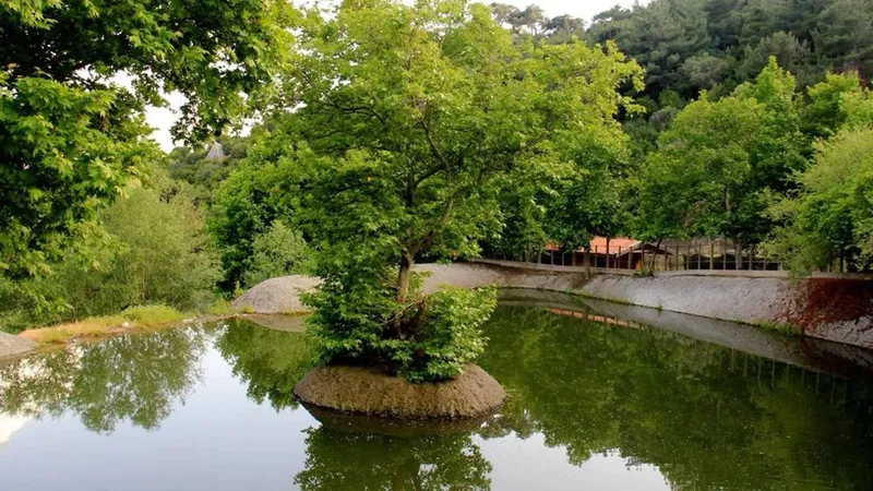 İzmir’in Bornova ilçesinde yer alan Homeros Vadisi, doğayla baş başa