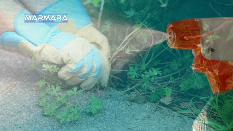 Bahçedeki yabani otlar artık can sıkmıyor! Evde kolayca hazırlayacağınız sirke