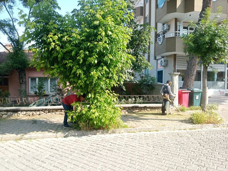 492708139 122192391944300867 7989623220055667763 n - Marmara Bölge: Balıkesir Son Dakika Haberleri ile Hava Durumu