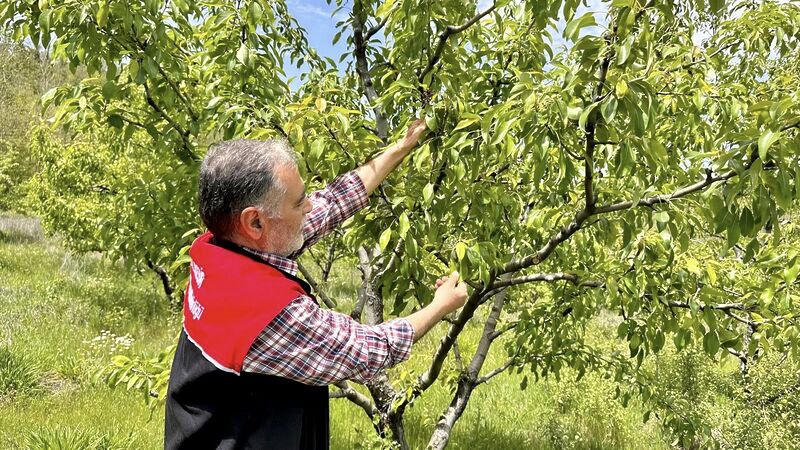 495382213 1088037463367115 7615873362567042719 n - Marmara Bölge: Balıkesir Son Dakika Haberleri ile Hava Durumu