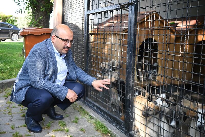 497331288 18292759255222704 2156352124733876108 n - Marmara Bölge: Balıkesir Son Dakika Haberleri ile Hava Durumu
