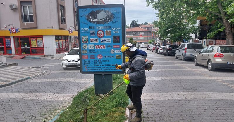 Balıkesir’in Susurluk ilçesinde haşere ilaçlamadan çevre düzenlemesine kadar birçok alanda