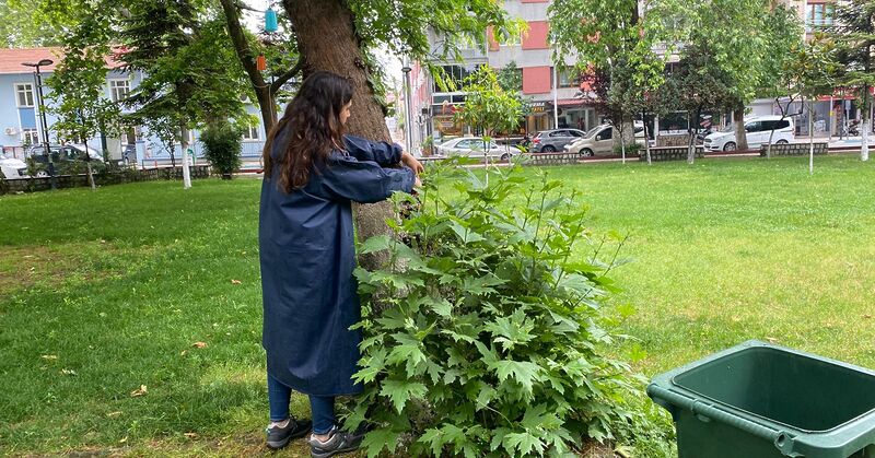 Balıkesir’in Susurluk ilçesinde, Belediye Başkanı Hakan Yıldırım Semizel öncülüğünde yürütülen