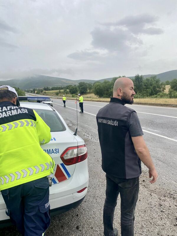 500455061 1101444062026455 5572720179249493893 n - Marmara Bölge Gazetesi
