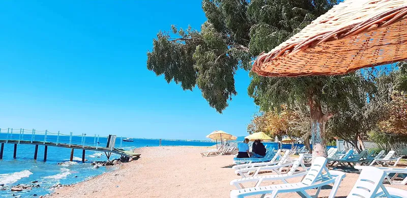 AF1QipNl8Dz29tMgLVPU0 tbWhtlKhOUE5thS mvLXRys1600 k no - Marmara Bölge: Balıkesir Son Dakika Haberleri ile Hava Durumu