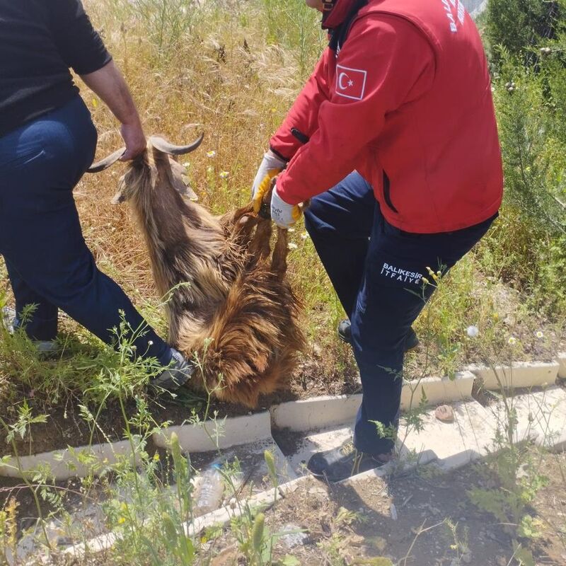 Balıkesir’in Susurluk ilçesinde yaşanan olay yürekleri ısıttı. Yasa Otoyol Tesisleri