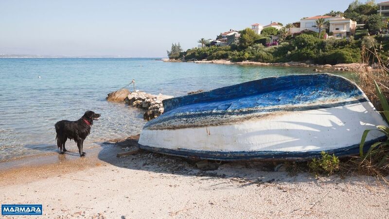 Çeşme'nin saklı güzelliklerinden biri olan Çiftlikköy, doğal yapısı ve huzurlu