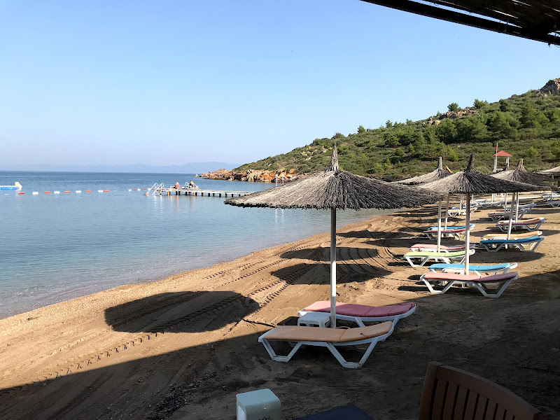 Beach Tilki Koyu - Marmara Bölge Gazetesi