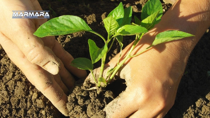 Balıkesir’in Altıeylül ilçesinde Dünya Çiftçiler Günü kapsamında düzenlenen programda, kapya