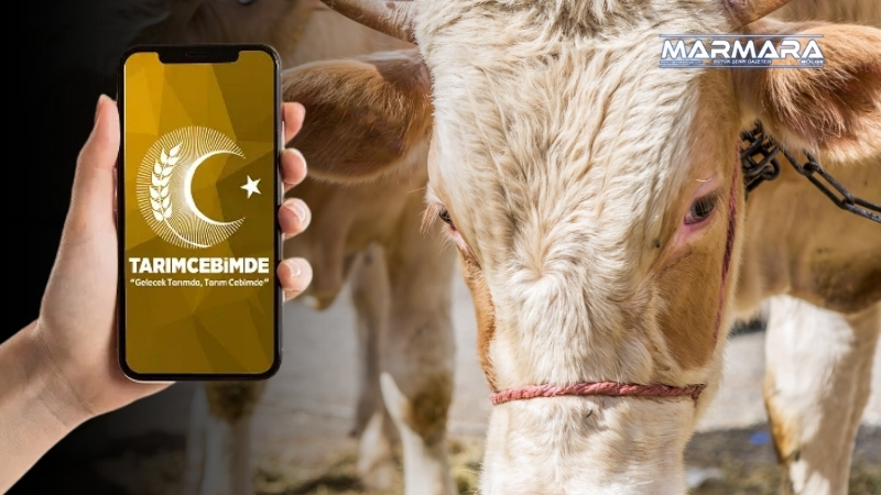 Kurbanlık seçiminde tereddüte son! Tarım ve Orman Bakanlığı, “Tarım Cebimde”