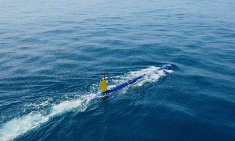 BlueWhale IAI - Marmara Bölge Gazetesi