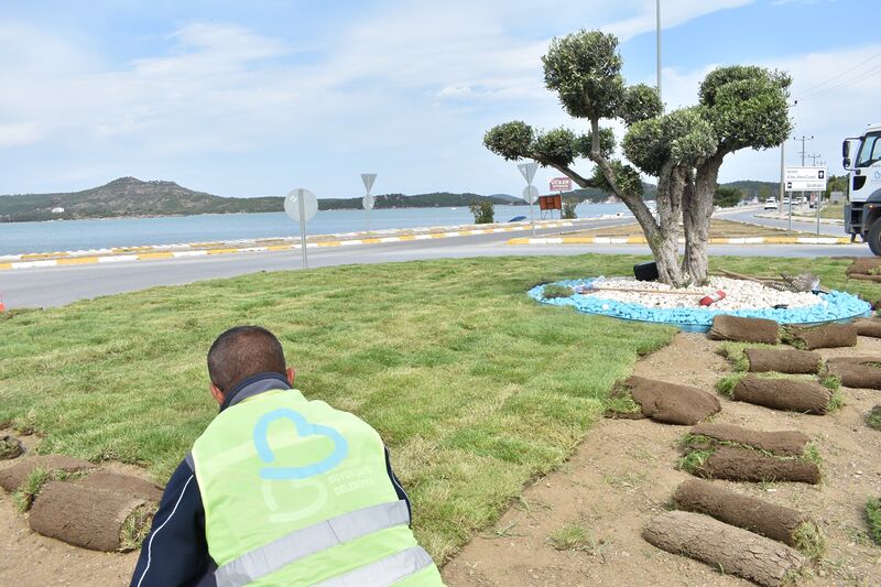 Buyuksehir Belediyesi urettigi cimleri kullaniyor 3 - Marmara Bölge: Balıkesir Son Dakika Haberleri ile Hava Durumu