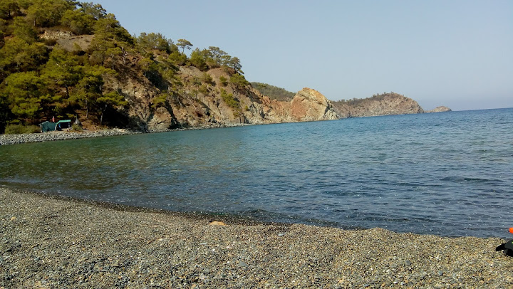 IMG 6f15b02be515338f80a2166118f1be04 V - Marmara Bölge Gazetesi