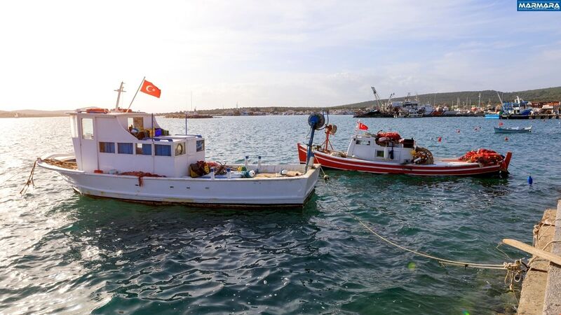 Doğayla baş başa, gürültüden uzak ve güvenli bir yaşam arayanlar