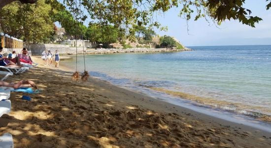 TR201209 fit 550 300 - Marmara Bölge: Balıkesir Son Dakika Haberleri ile Hava Durumu