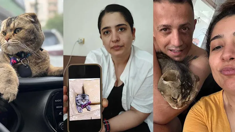 a w453321 02 - Marmara Bölge: Balıkesir Son Dakika Haberleri ile Hava Durumu