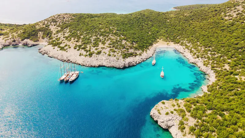 akvaryum koyu in bodrum 54434 - Marmara Bölge Gazetesi