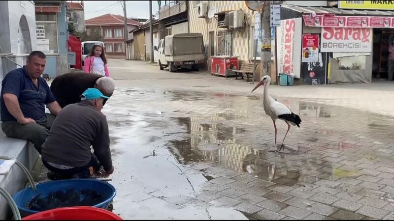 Yaren’in rakibi Bilal Leylek baba oldu aw450448 02 - Marmara Bölge: Balıkesir Son Dakika Haberleri ile Hava Durumu