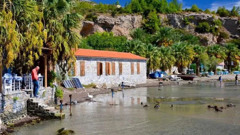 aydin soke karina 1 - Marmara Bölge: Balıkesir Son Dakika Haberleri ile Hava Durumu