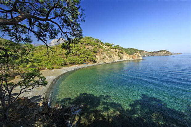 beycik buku koyunda konaklamak - Marmara Bölge Gazetesi