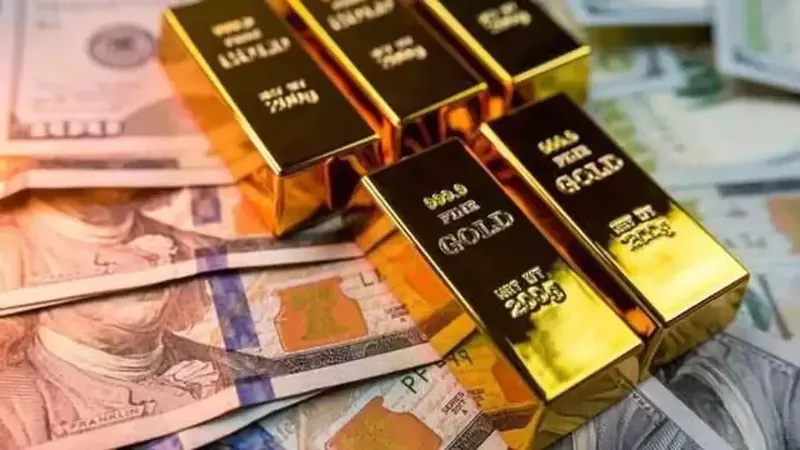Türkiye Cumhuriyet Merkez Bankası (TCMB), son üç haftadır döviz rezervlerini