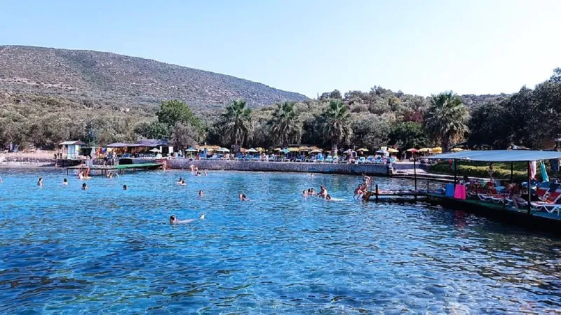 dikili karya 2 - Marmara Bölge Gazetesi