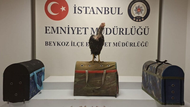 ekonomim 1280x720 848 x 477 piksel c0d5 - Marmara Bölge: Balıkesir Son Dakika Haberleri ile Hava Durumu
