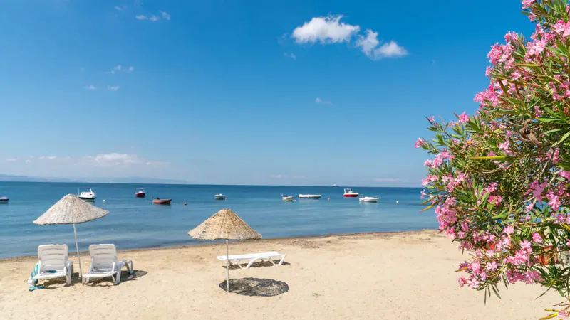 erdek 54435 - Marmara Bölge: Balıkesir Son Dakika Haberleri ile Hava Durumu