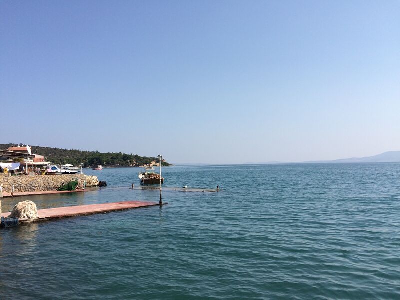 igm8876 - Marmara Bölge: Balıkesir Son Dakika Haberleri ile Hava Durumu