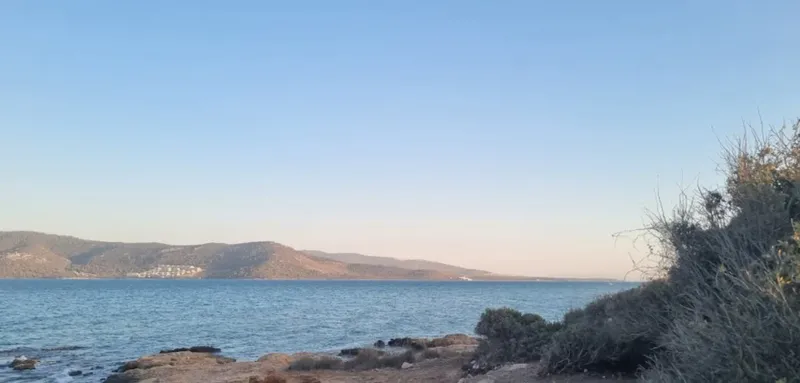 image 23 1024x490 1 - Marmara Bölge: Balıkesir Son Dakika Haberleri ile Hava Durumu