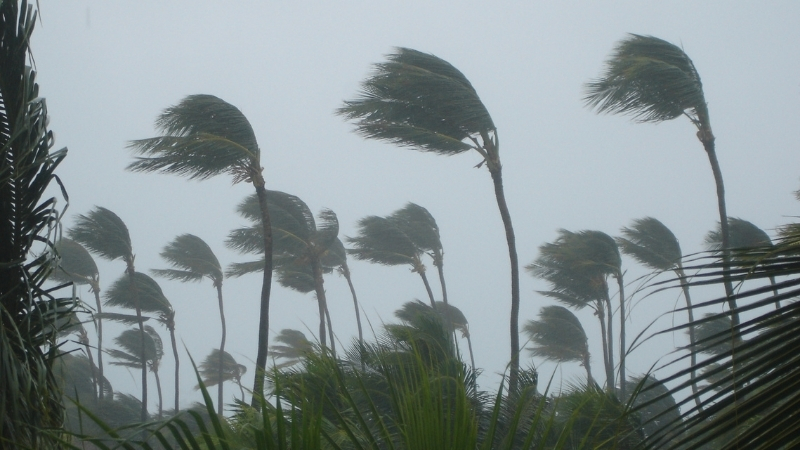 meteoroloji 2 - Marmara Bölge: Balıkesir Son Dakika Haberleri ile Hava Durumu
