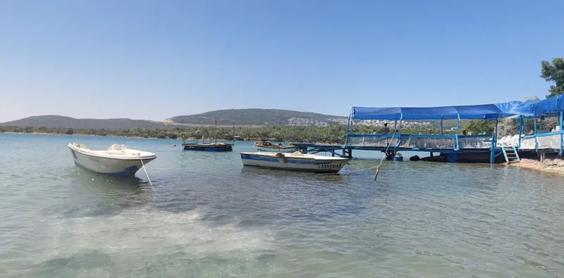 saklikoy mordogan1 - Marmara Bölge: Balıkesir Son Dakika Haberleri ile Hava Durumu